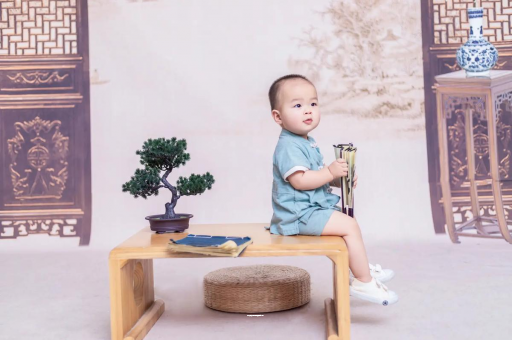 吕梁可爱的企鹅宝宝